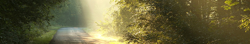 janaury-blog-banner