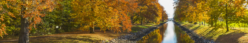 SIMS-Upgrade-Autumn-2017