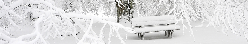 snowfall-blog-banner